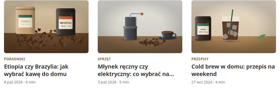 Karty Magazynu z ustawieniami domyślnymi: brązowy akcent, zdjęcia panoramiczne, kategoria i tytuł pod zdjęciem.